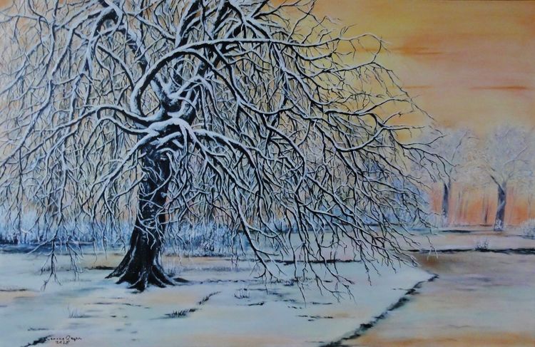 Schnee, Bäume im winter, Winterbaum, Winterlandschaft