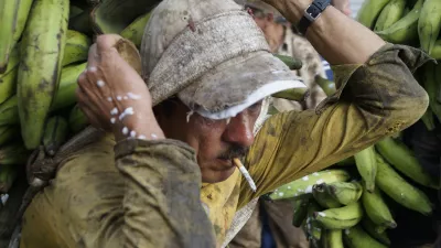 Man with cigarette in mouth carrying bananas on his back