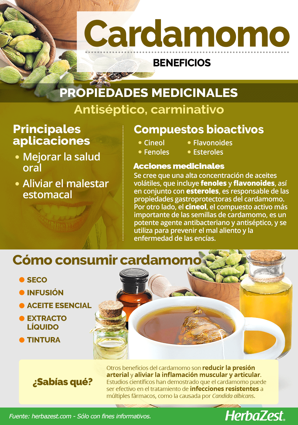 Beneficios del cardamomo