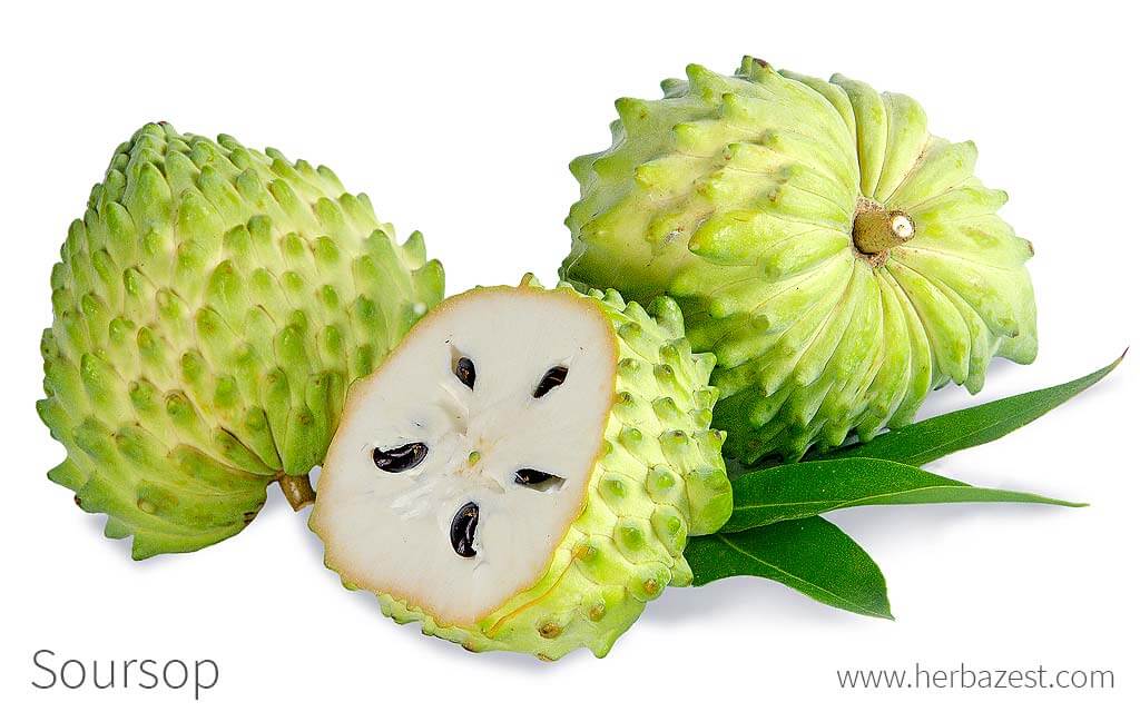 Soursop