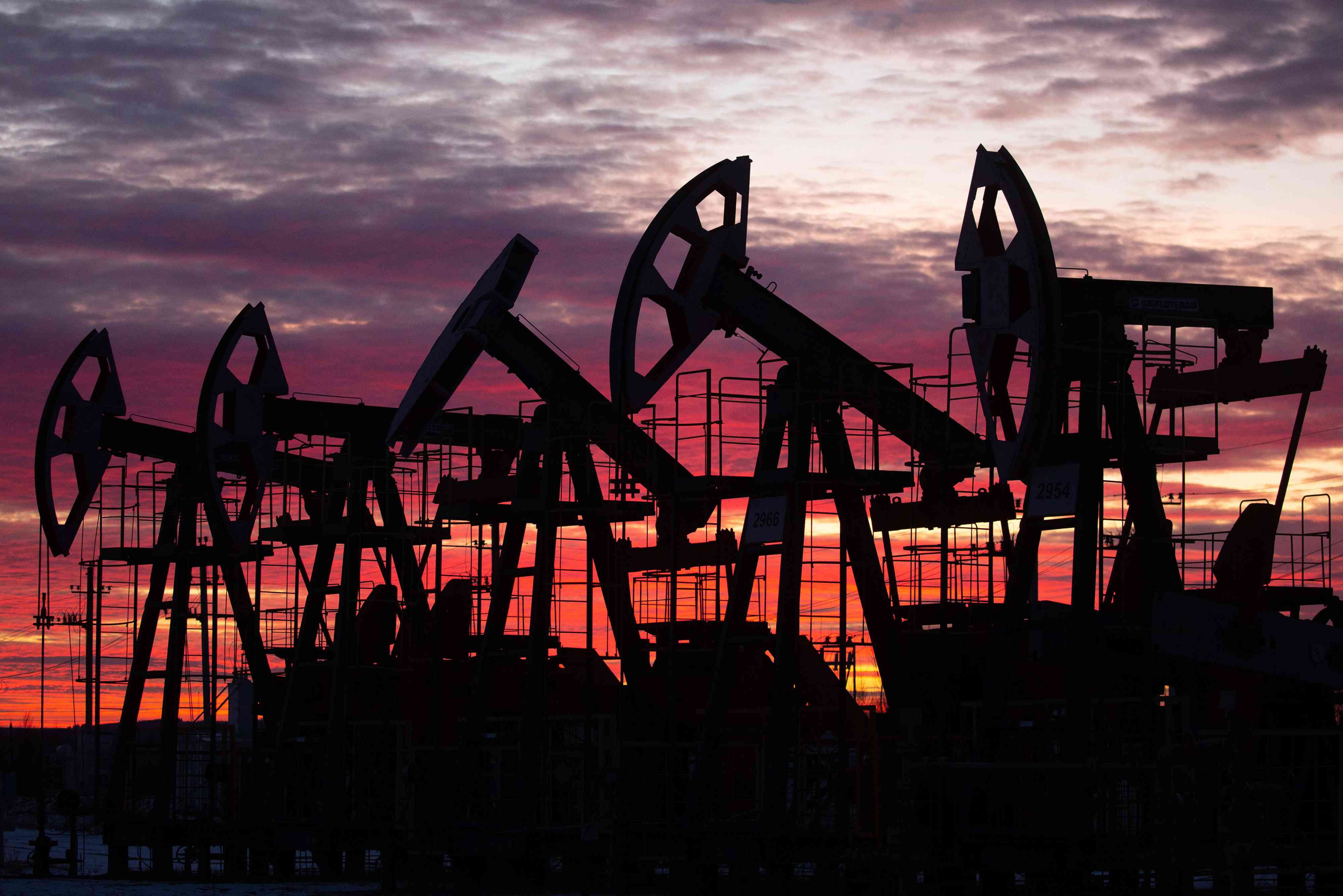Oil pumping jacks in an oil field at sunset in Russia. 