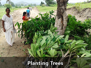 Planting Trees