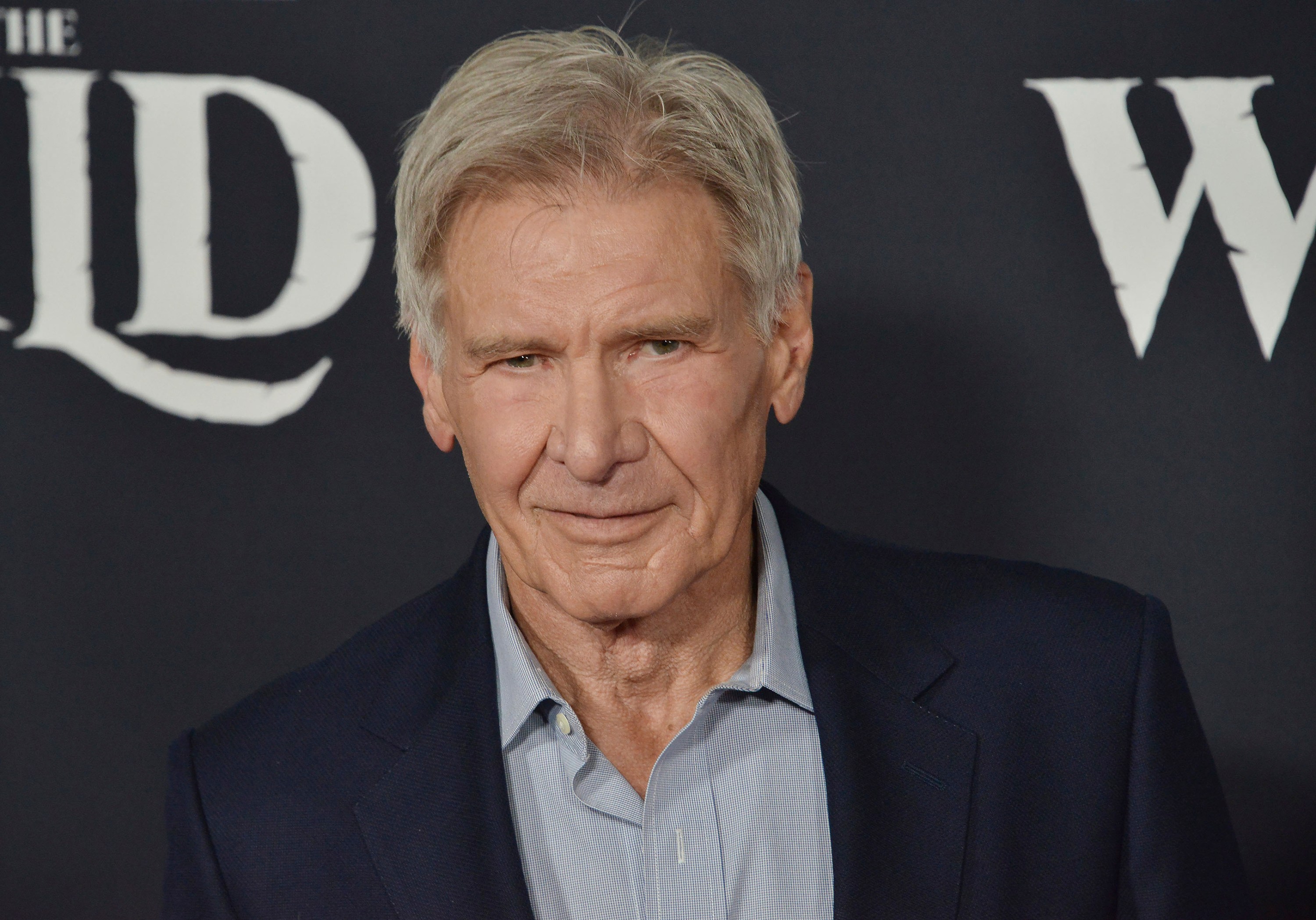 Harrison Ford arrives at the 20th Century Studios' THE CALL OF THE WILD Los Angeles Premiere held at the El Capitan Theatre in Hollywood, CA on Thursday, ​February 13, 2020. (Photo By Sthanlee B. Mirador/Sipa USA)(Sipa via AP Images)