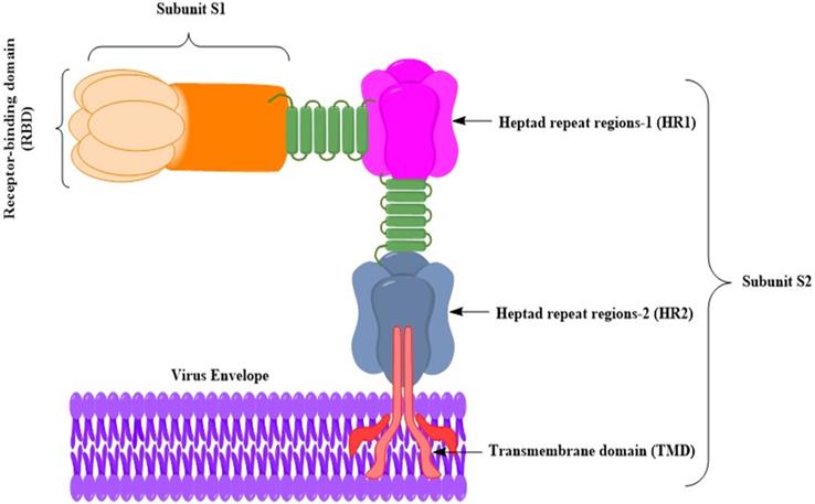 Int J Biol Sci Image