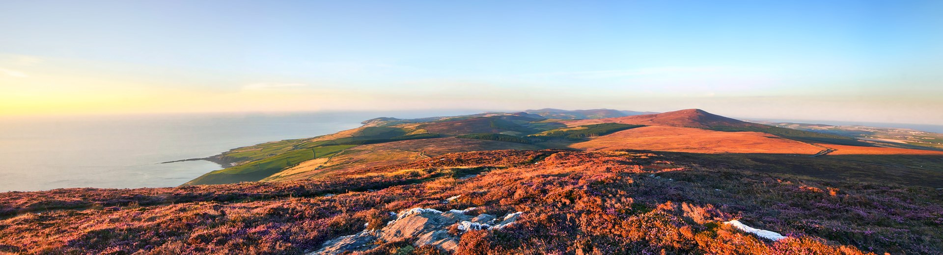 The view of heather on a mountain at sunset