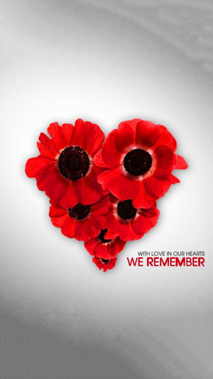 Remembrance Day Wallpaper - iXpap