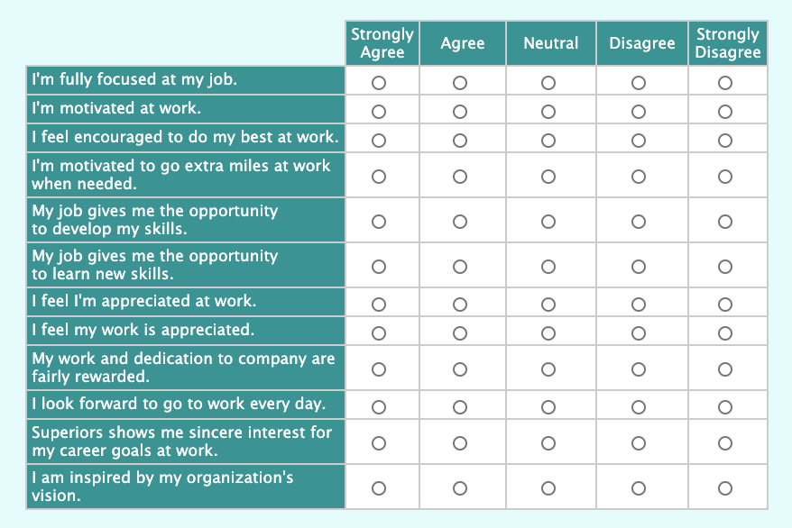 Sample Likert Scale Questionnaire