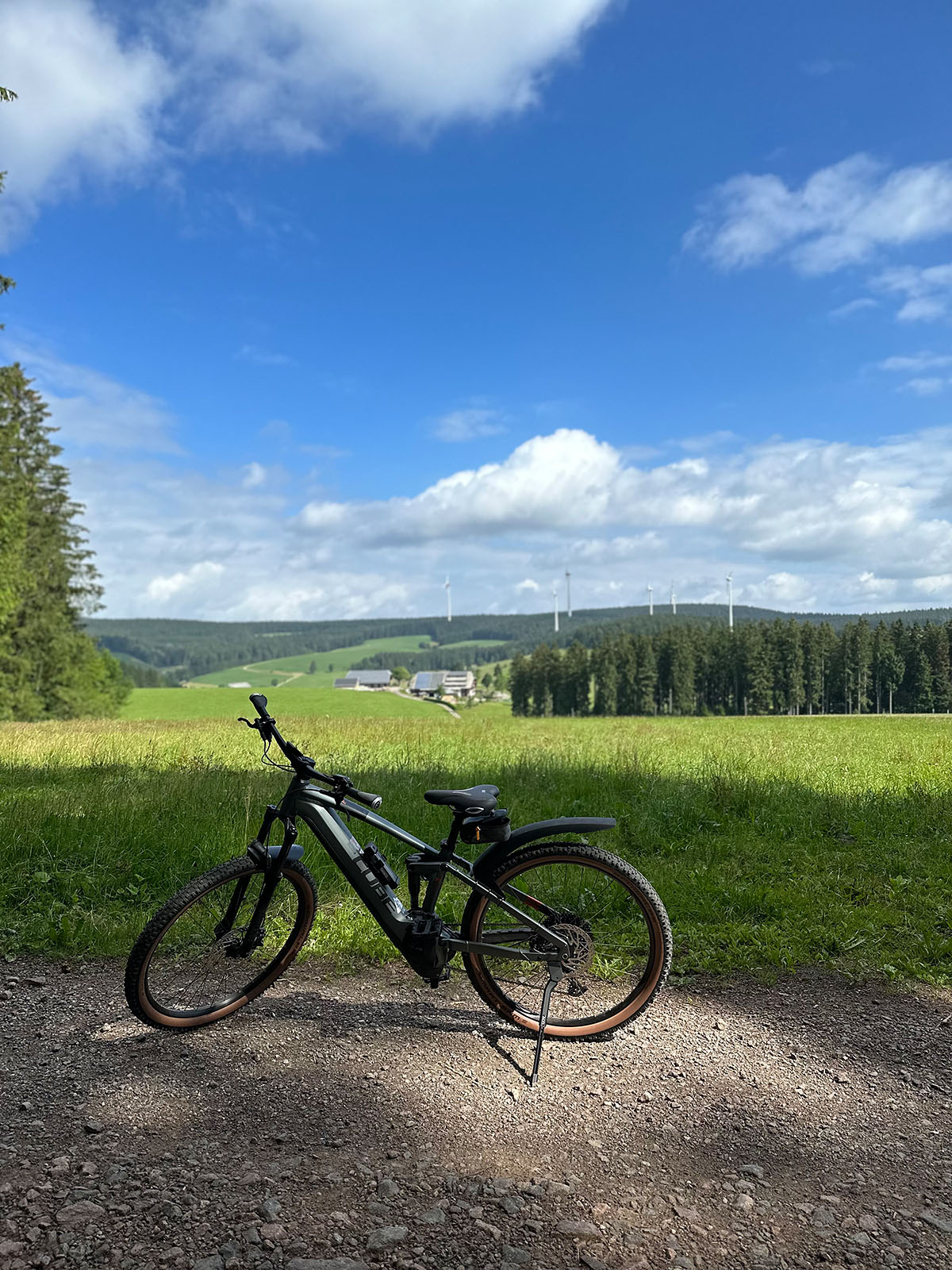 Die morgendliche Ruhe im Schwarzwald mit JobRad genießen