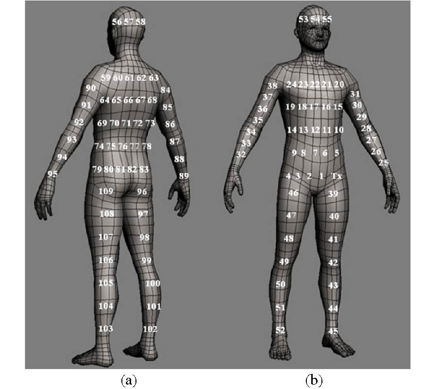 AN ADVANCED UWB CHANNEL MODEL FOR BODY-CENTRIC WIRELESS NETWORKS