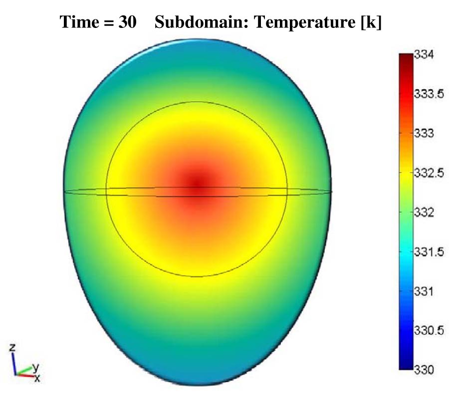 OPTIMIZATION OF RADIOFREQUENCY HEATING OF IN-SHELL EGGS THROUGH FINITE ELEMENT MODELING AND EXPERIMENTAL TRIALS