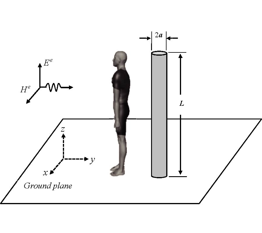 TRANSIENT THERMAL ANALYSIS OF HUMAN EXPOSURE TO ELECTROMAGNETIC FIELDS