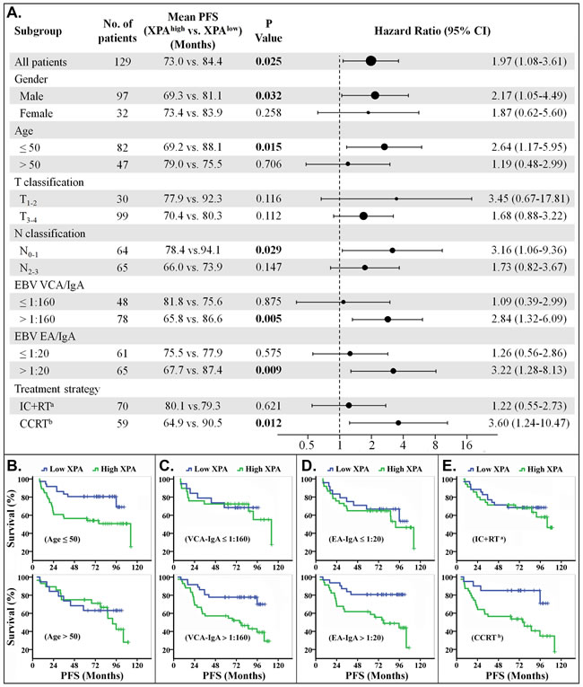 Stratified analysis for progression-free survival (PFS).