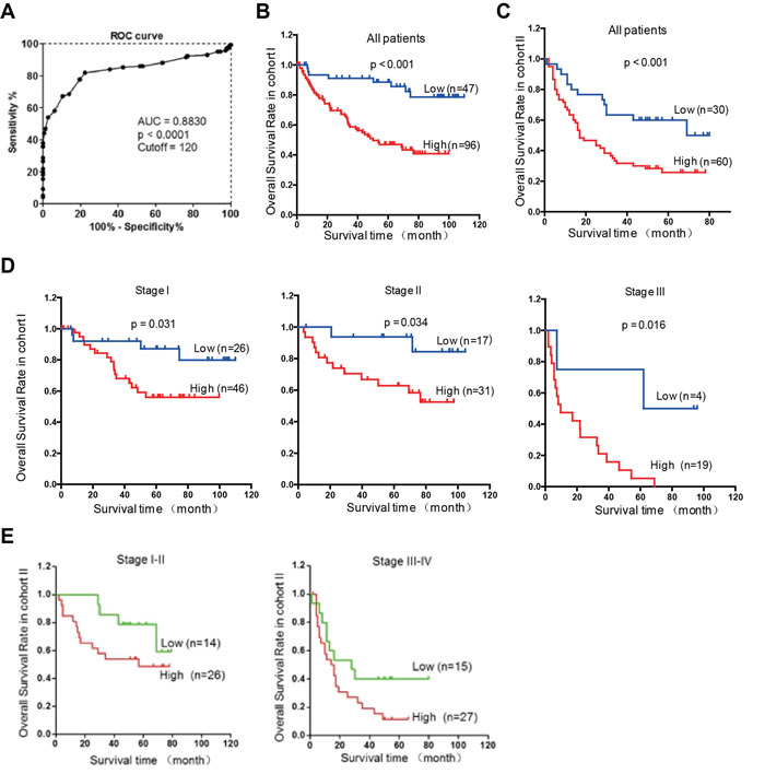 Rab1A overexpression is associated with a poor prognosis of HCC.