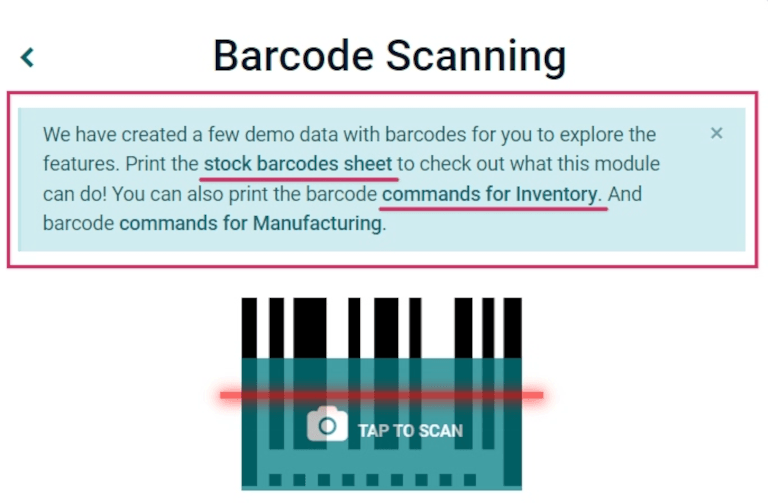 Pop-up-Fenster zur Eingabe von Demodaten auf dem Hauptbildschirm der Barcode-App.