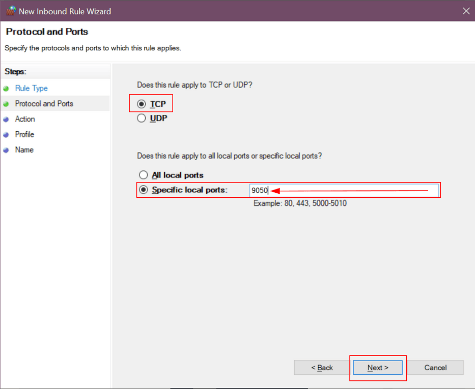 Protocol/port configuration window with TCP, specific port (9050) and Next highlighted.