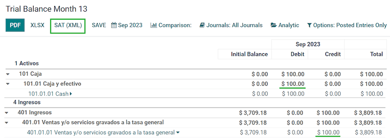 Trial Balance Month 13 report.