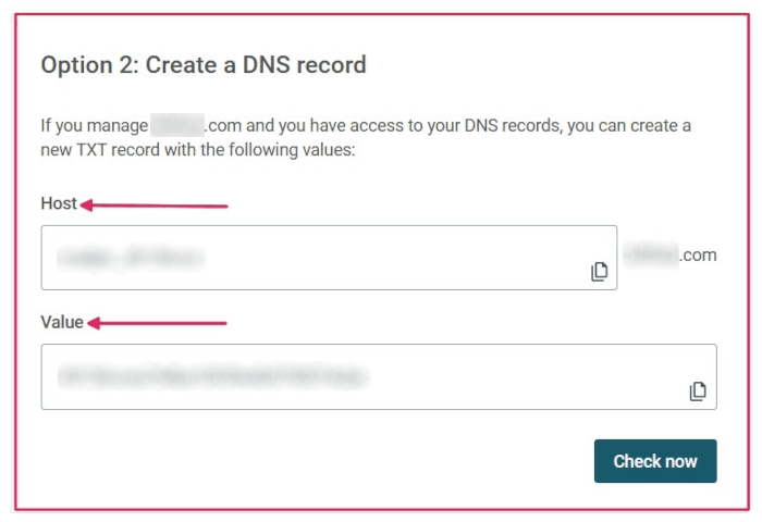 As informações do registro em TXT a inserir no DNS do domínio.