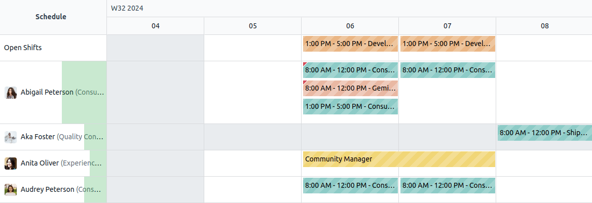 Vista gantt en la planeación de turnos