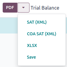 Trial balance report.