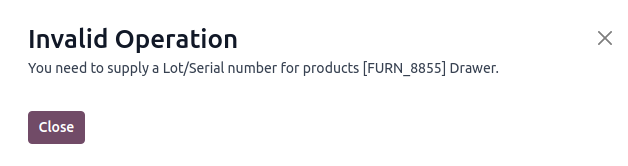 Add lot/serial number user error popup.