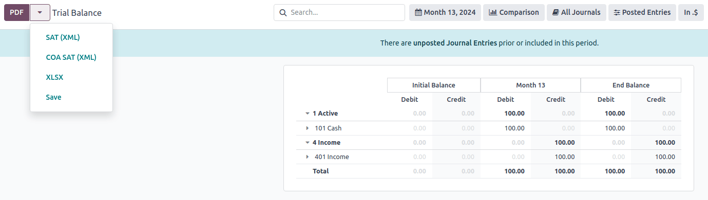 Trial Balance Month 13 report.