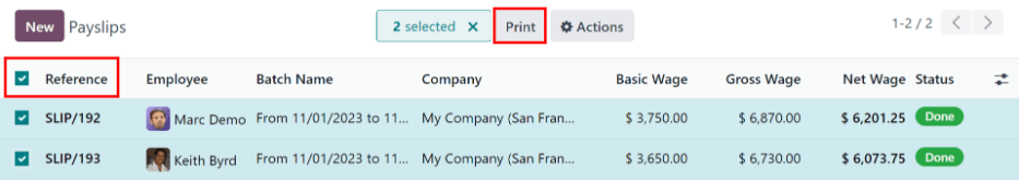 Print button for printing the payslips.