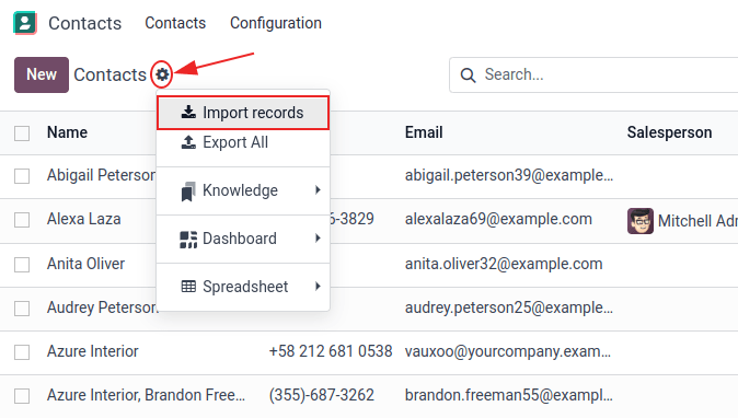 Das Menü Aktion wird angezeigt und die Option Datensätze importieren ist markiert.