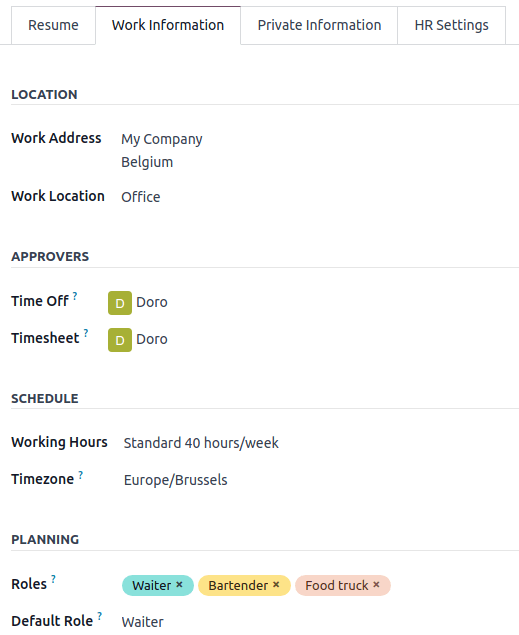 Perfil del empleado y la pestaña de información de trabajo.