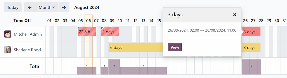 Overview of the user's team, with time off requests shown.