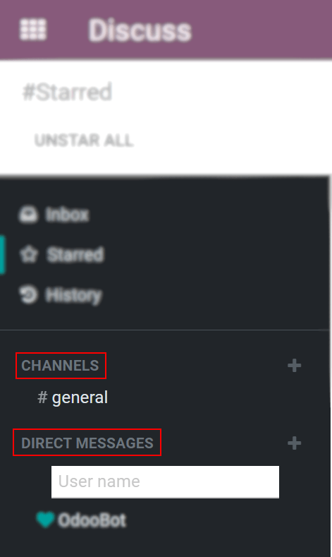 View of Discuss's panel emphasizing the titles channels and direct messages in Odoo Discuss.