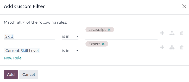 The Custom Filter pop-up with the parameters set.