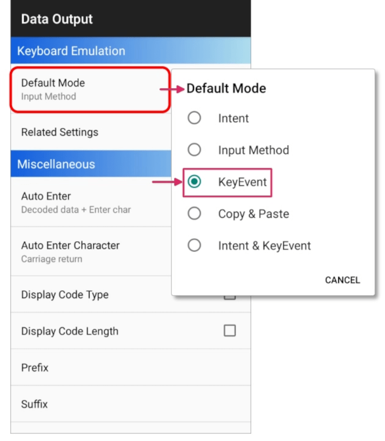 Cipherlab scanner keyboard emulation settings.