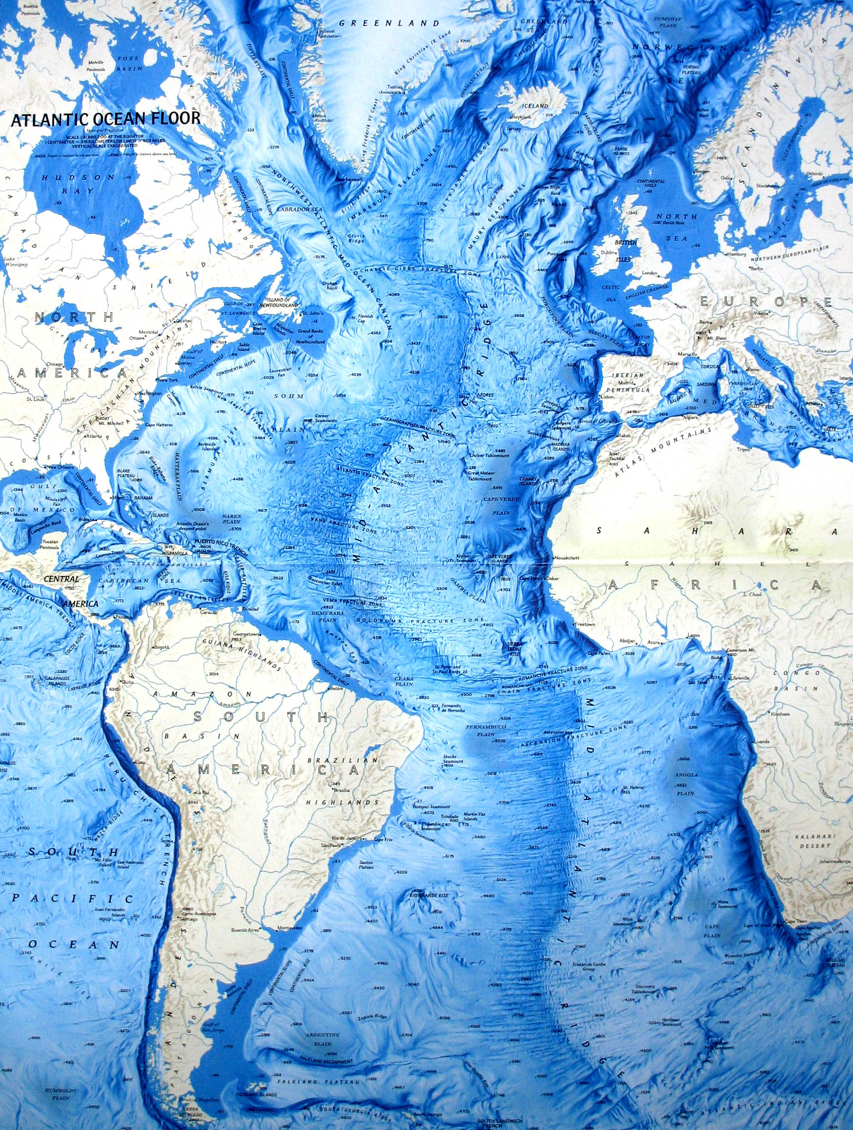 Ocean Map Download - Wayne Baisey