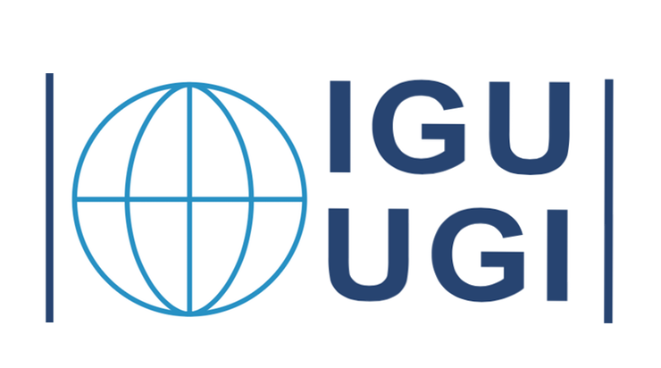 International Geographic Union