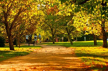 University Parks in Autumn