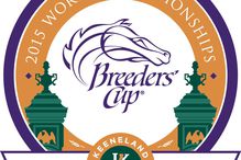 horse racing breeders cup