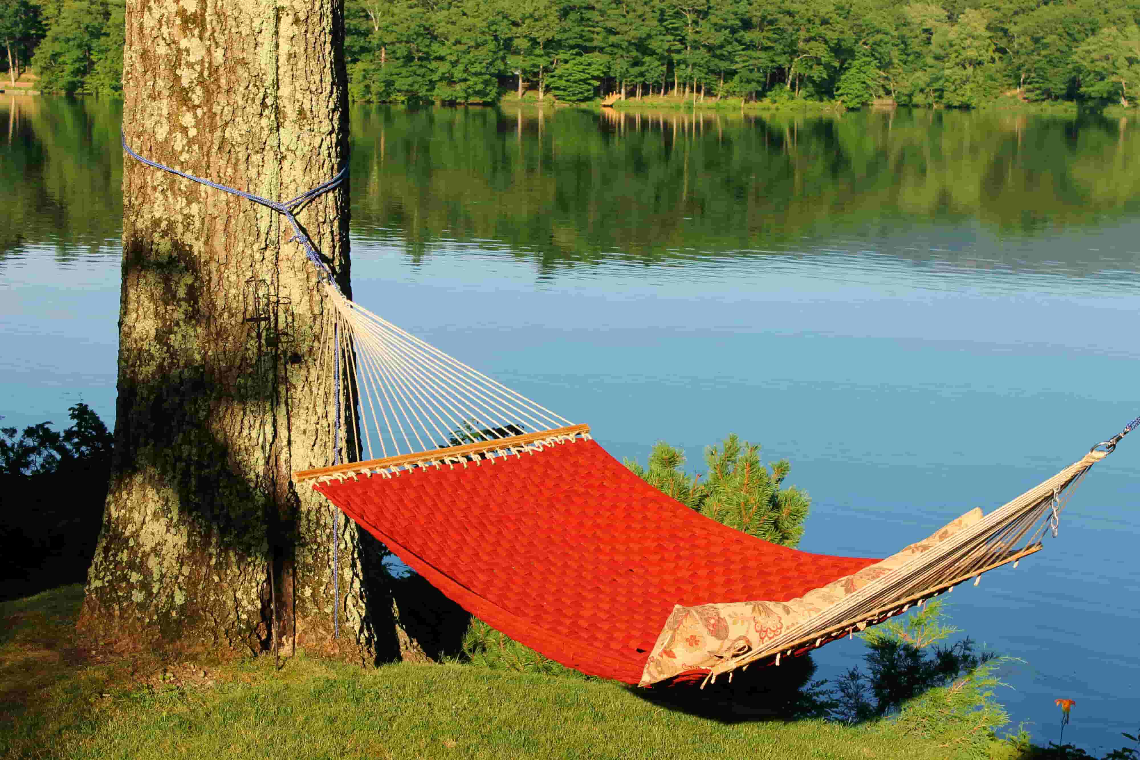 Hammock Design