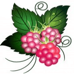 berry icon