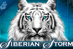 Siberian Storm Logo.png