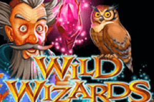 Wild Wizards Slot Game - Logo