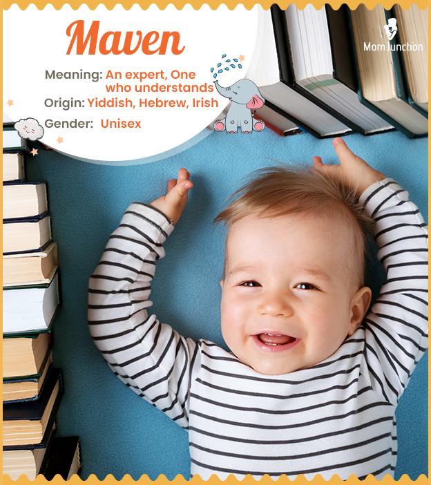 Maven means an exper