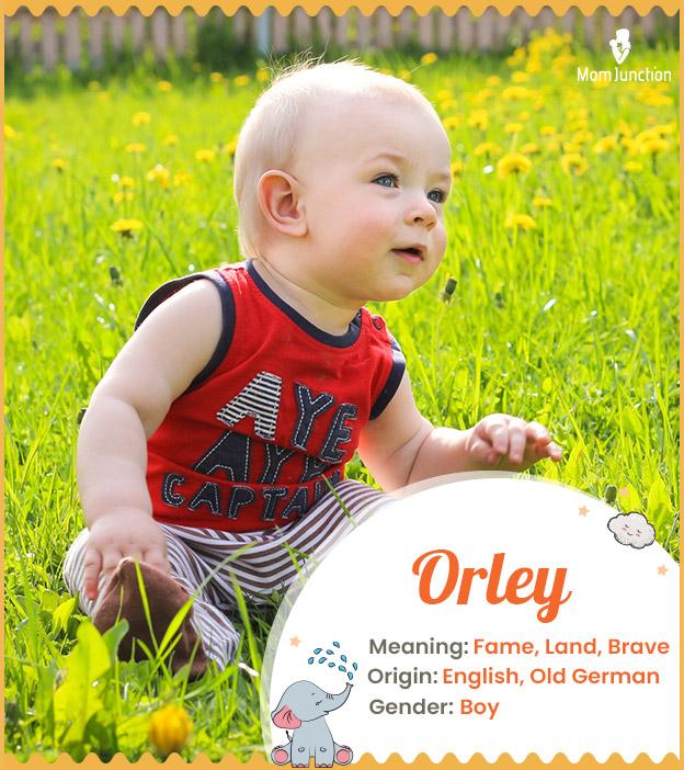 Orley, a beautiful n