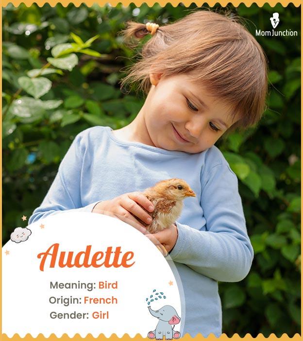 Audette, meaning bir