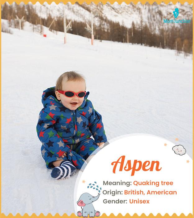 Aspen meaning Shakin