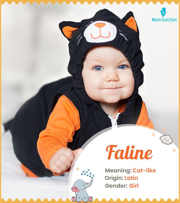 Faline, meaning cat-