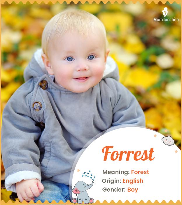 Forrest means forest