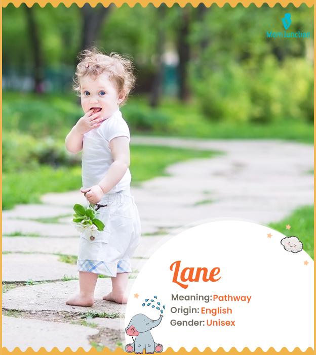 Lane, a meadow fille