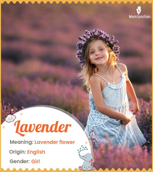 Lavender means laven