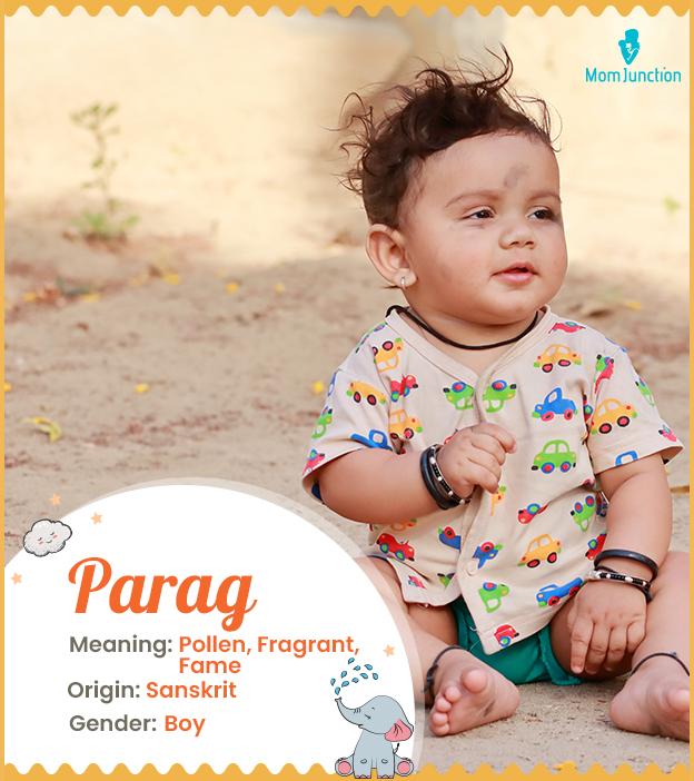 Parag meaning Pollen