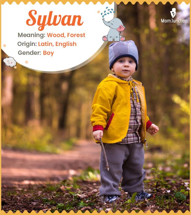 Sylvan means wood or